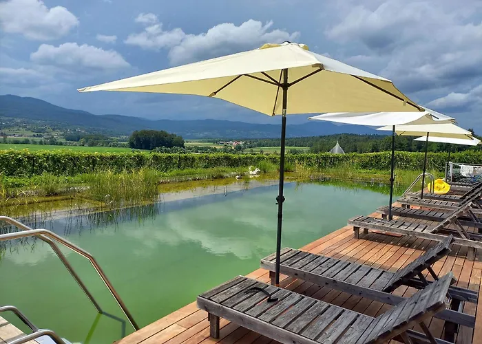 캠프장 Glamping Maleric With Natural Pool Dragatuš